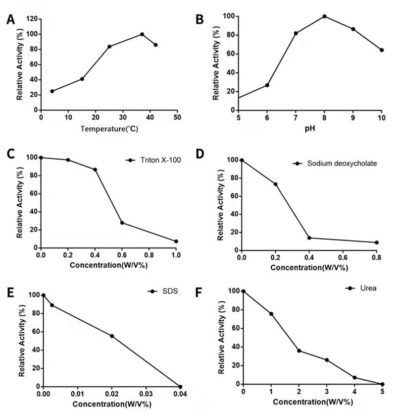 UCF.me ™ Ultranuclease GMP-grade (250 U/μL) _ 20157es