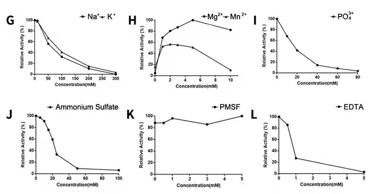 UCF.ME ™ Ultranuclease GMP-klass (250 U/μL) _ 20157ES