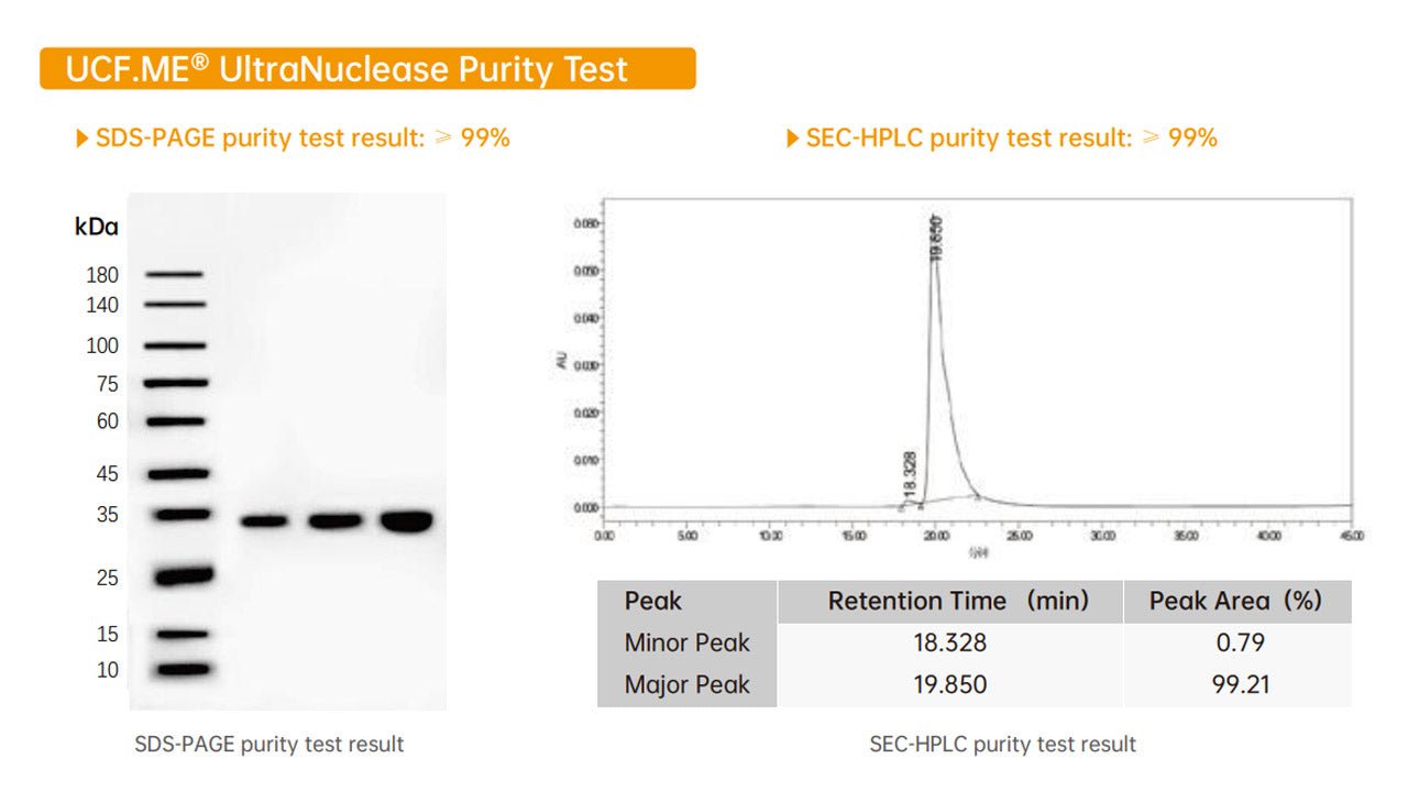 UCF.me ™ Ultranuclease GMP-grade (250 U/μL) _ 20157es