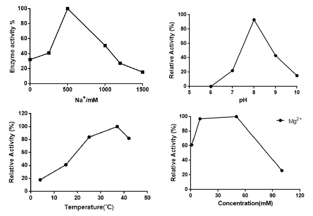 UCF.ME™ Salt Active UltraNuclease GMP-grade (250 U/μL) -20159ES