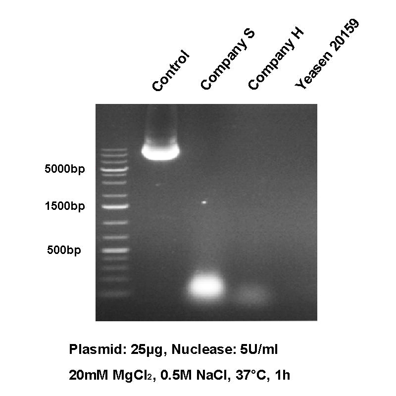 UCF.ME™ Salt Active UltraNuclease GMP-grade (250 U/μL) -20159ES