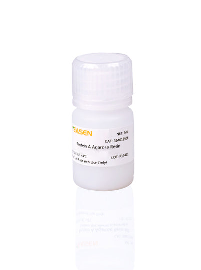 Suri rprotein A Agarose -harpiks -36401es