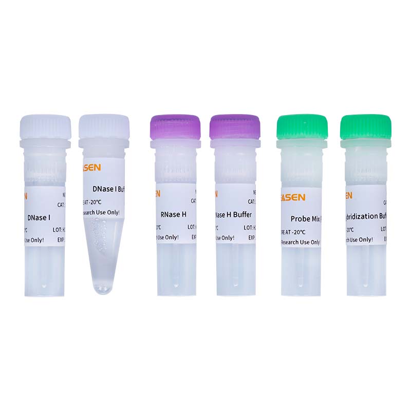 Hieff NGS™ MaxUp rRNA Depletion Kit (Plant) -12254ES