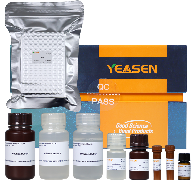 Kit ELISA Ultranucleasi attivo sale -36703es