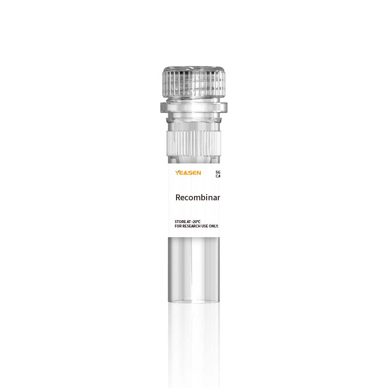 Human IL-5 R Alpha/CD125-protein, His-avi-taggen _ 93839ES