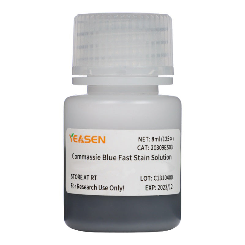 Coomassie Blue Fast Stain Solution (8 minutter) -20309ES