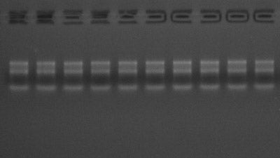 Molpure Cell/Tissue Total RNA Kit -19221es