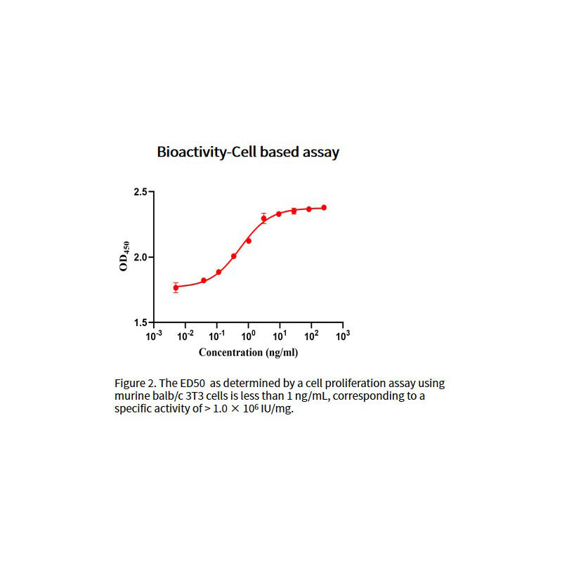 Recombinant Human FGF-4 Protein _91303ES