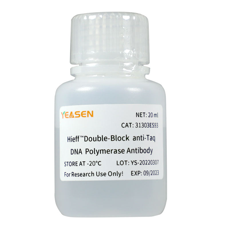 HIEFF ™ dubbelblock anti-TAQ DNA-polymerasantikropp (20U/μL) -31303ES