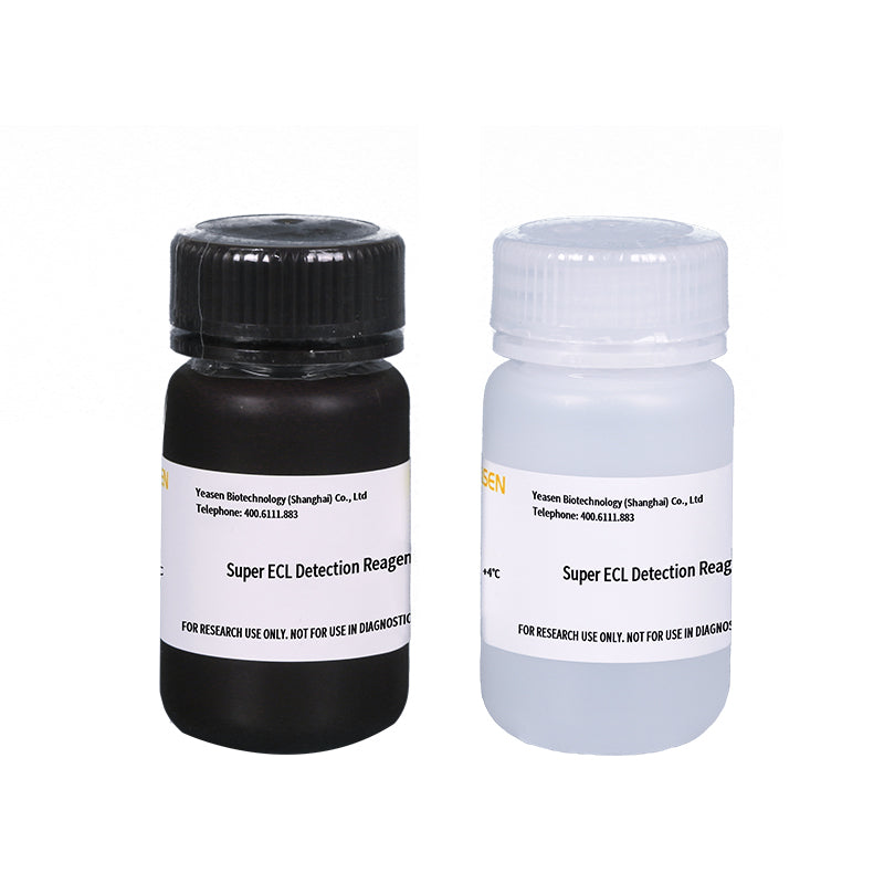 Super ECL Recection Reagent _ 36208es