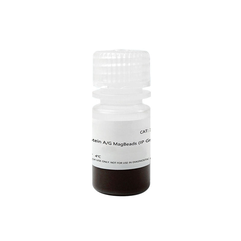 Protein A/G MagBeads (IP Grade) -36417ES