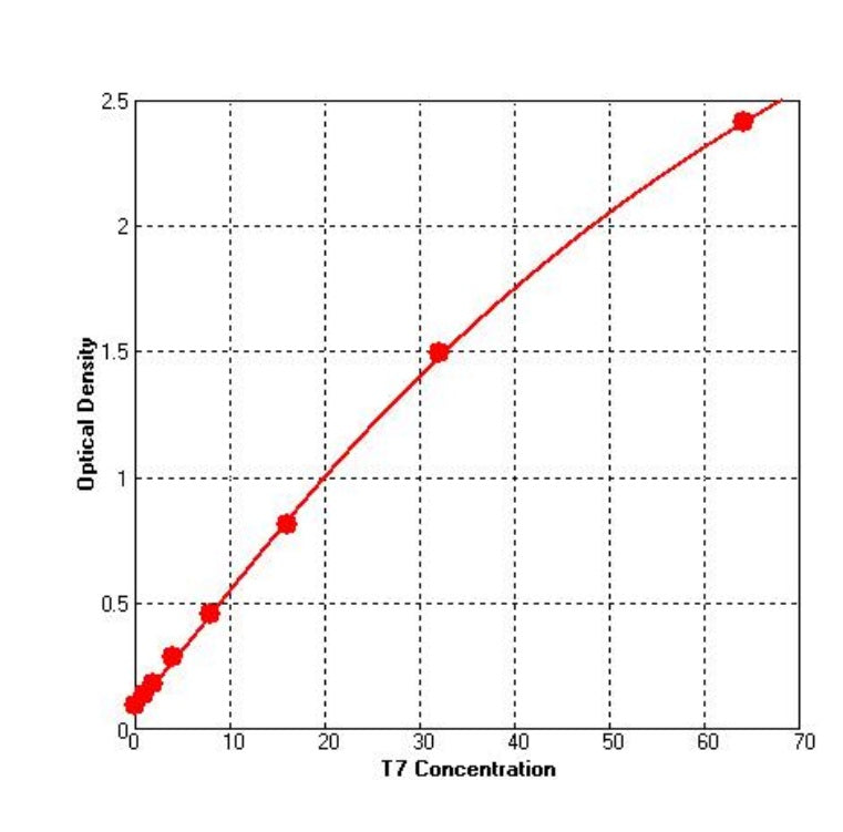 Kit ELISA T7 RNA polimerasi _ 36705ES