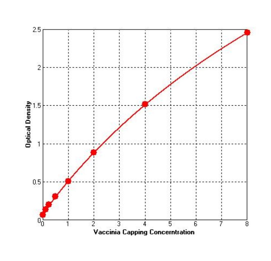 Vaccinia Cappingenzyme ELISA Kit _ 36709es