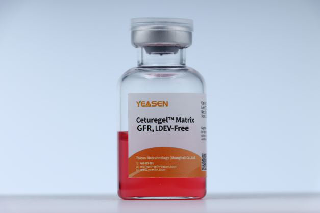 Ceturegel™ Matrix GFR, LDEV-Free -40185ES