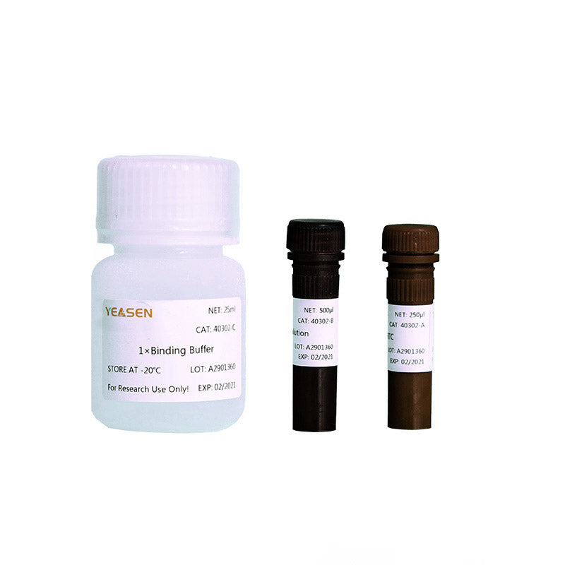 Annexin V -FITC/PI Apoptosis Detection Kit -4030es