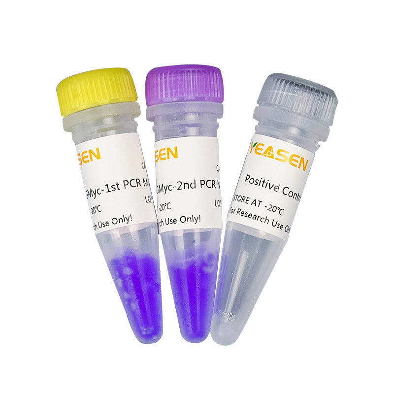 Kit di test Mycoplasma GMYC -PCR -40601es