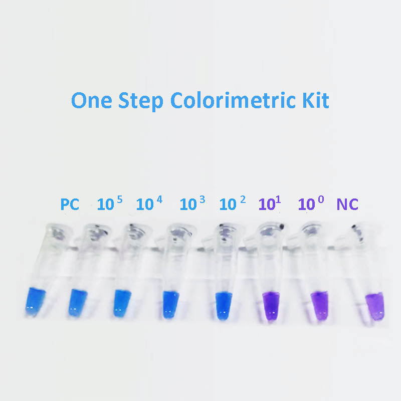 MycAway™ Plus-Color One-Step Mycoplasma Detection Kit -40612ES