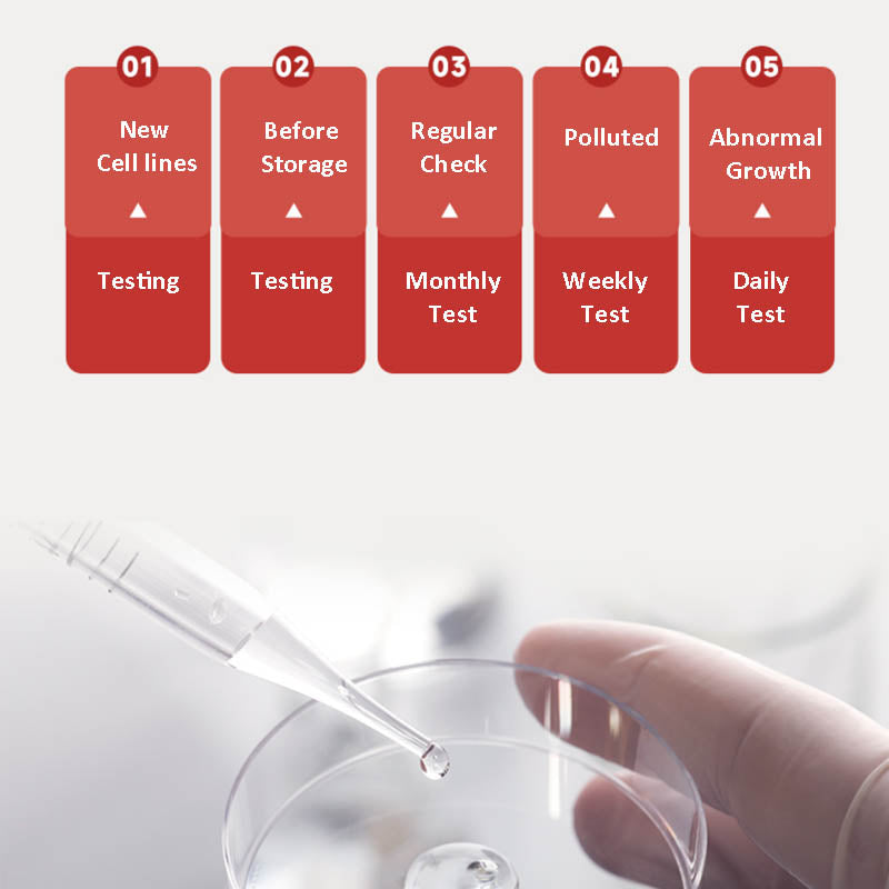 MycAway™ Plus-Color One-Step Mycoplasma Detection Kit -40612ES