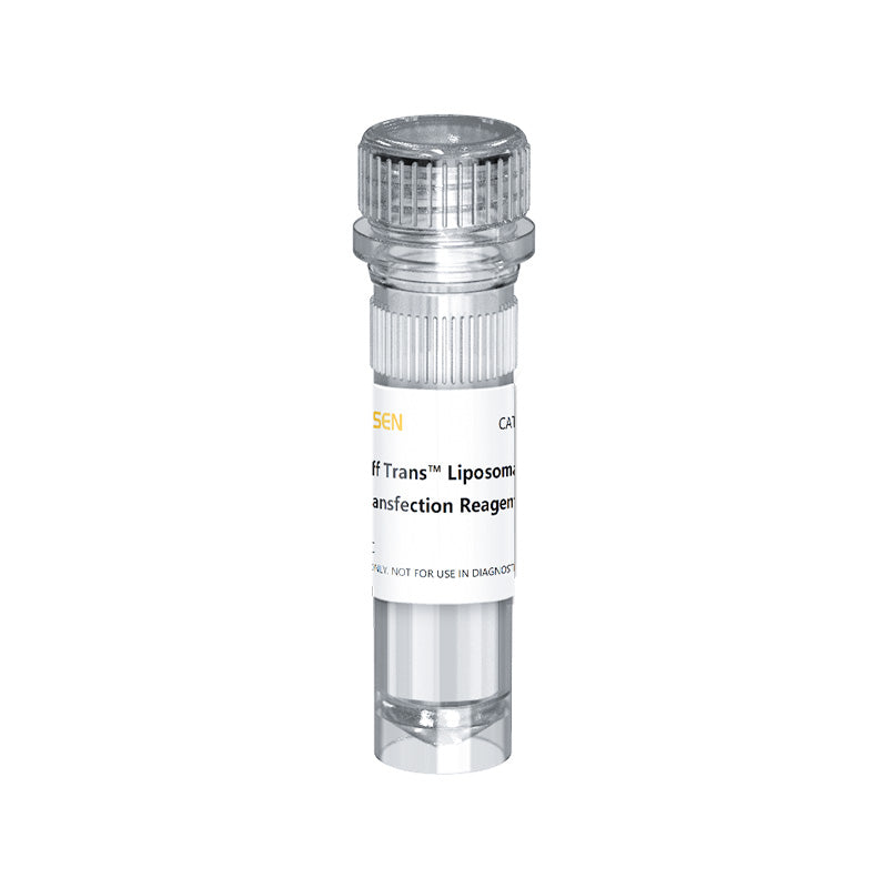 Hieff Trans ™ liposomal transfektionsreagens _ 40802ES