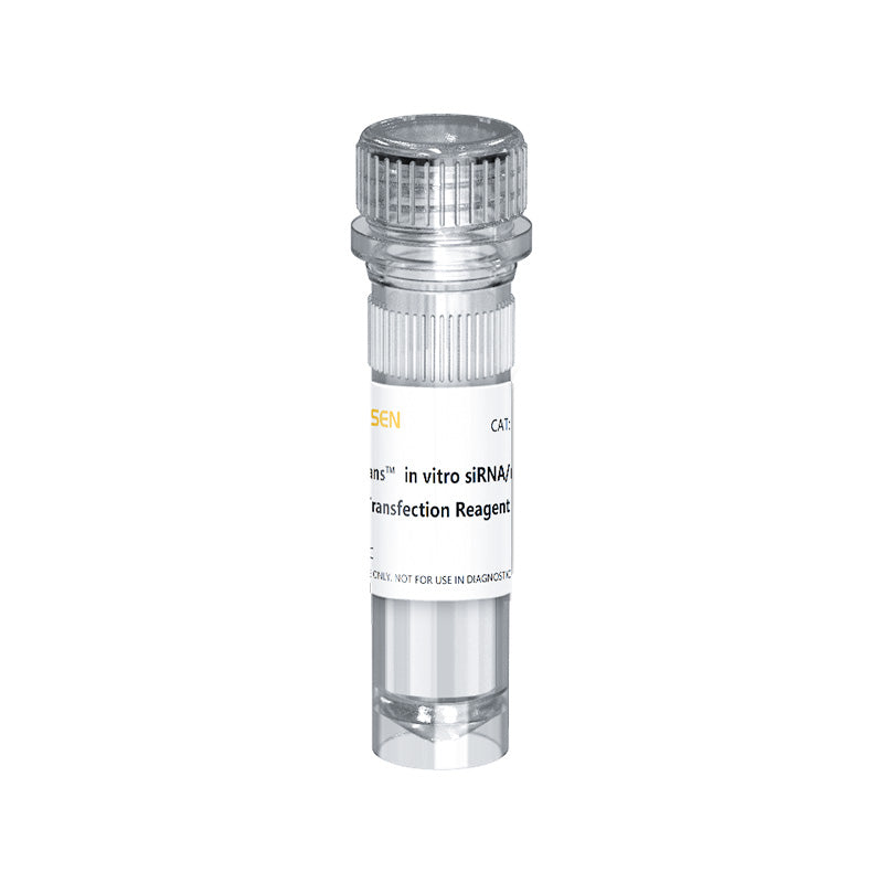 Hieff Trans ™ in vitro siRNA/miRNA -transfektionsreagens -40806ES