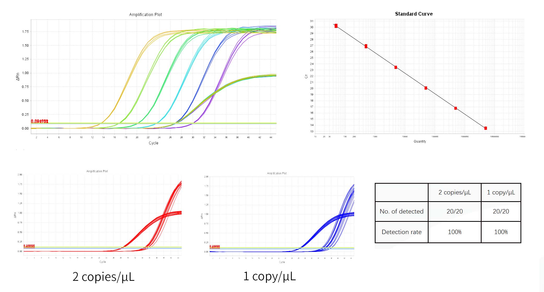 Replikationskompetent lentivirus (RCL) detektionssæt _41311es