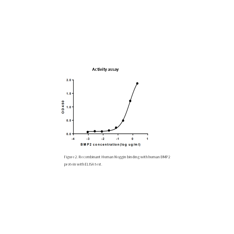 Rekombinant humant noggin -protein, hans tagg _ 92528es