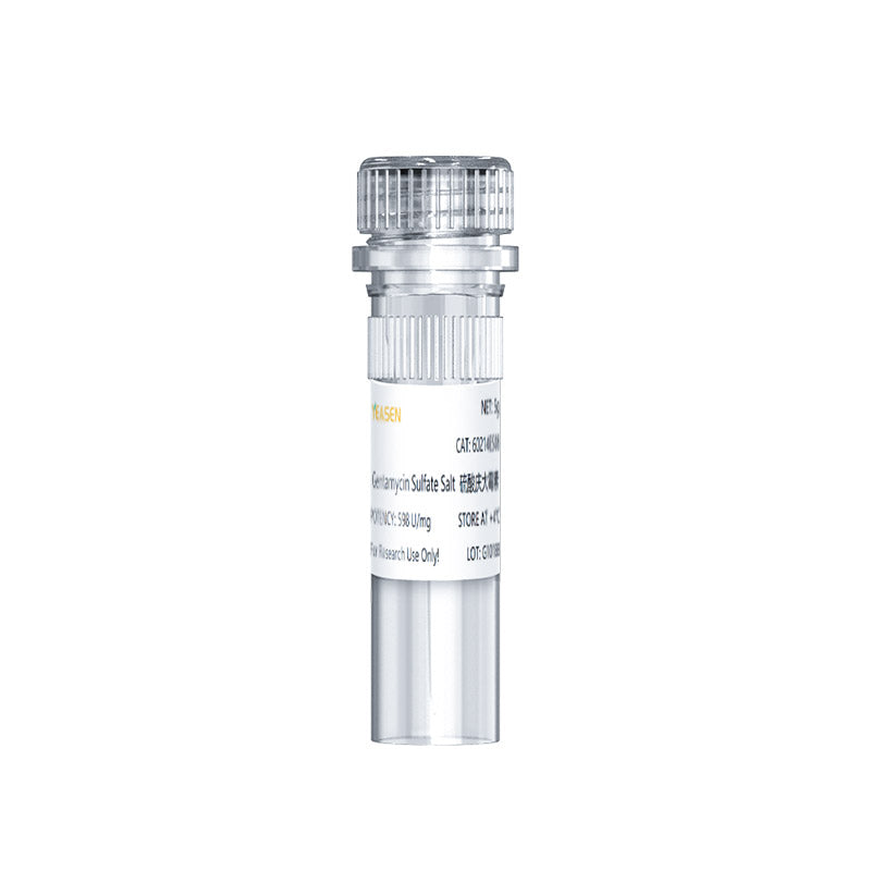 Gentamicin sulfat salt _ 60214es