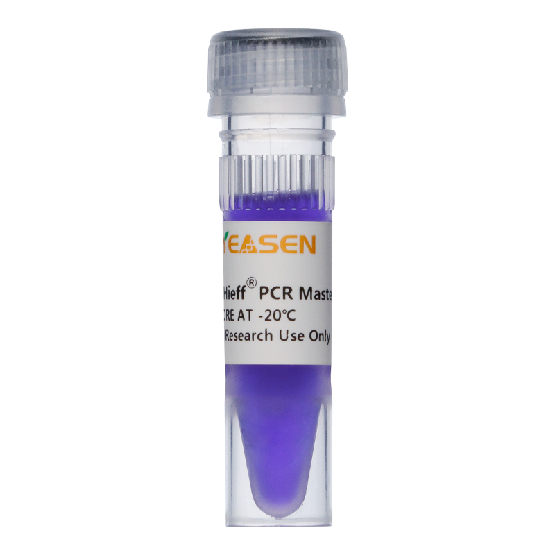 2 × Hieff ™ PCR Master Mix (med farvestof) _ 10102ES