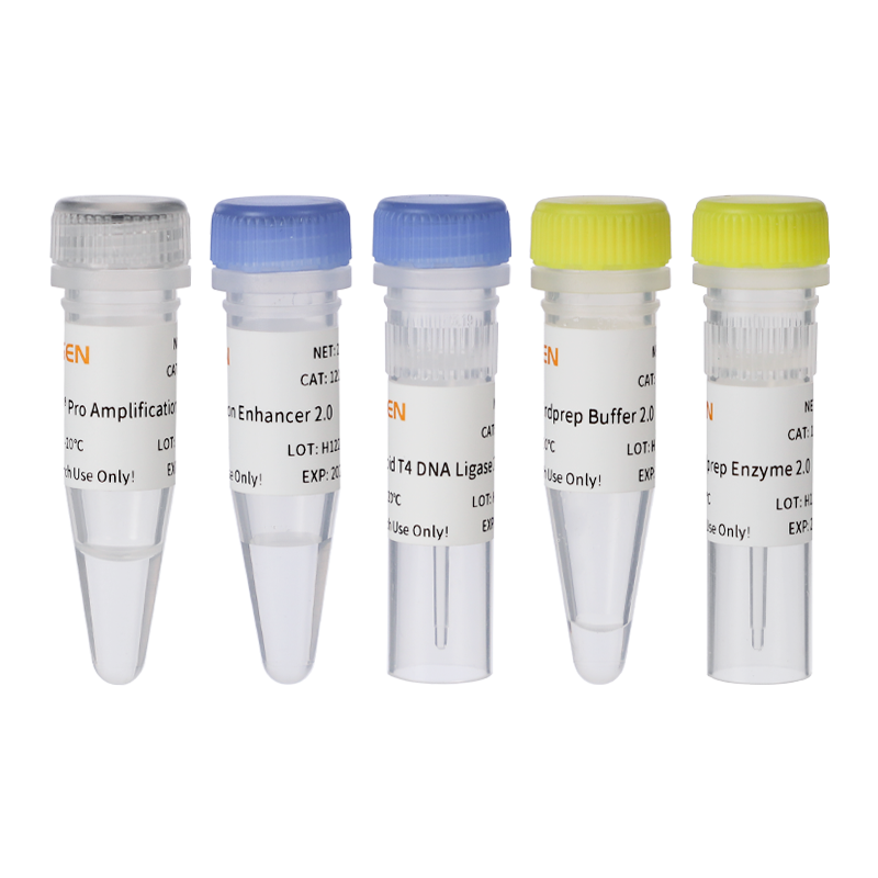 Hieff NGS ™ DNA Library Prep Kit 2.0 (mekanisk) -12927es