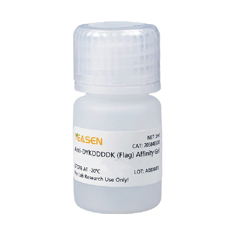 Anti -Dykdddk (Flag) Affinity Gel -20584es