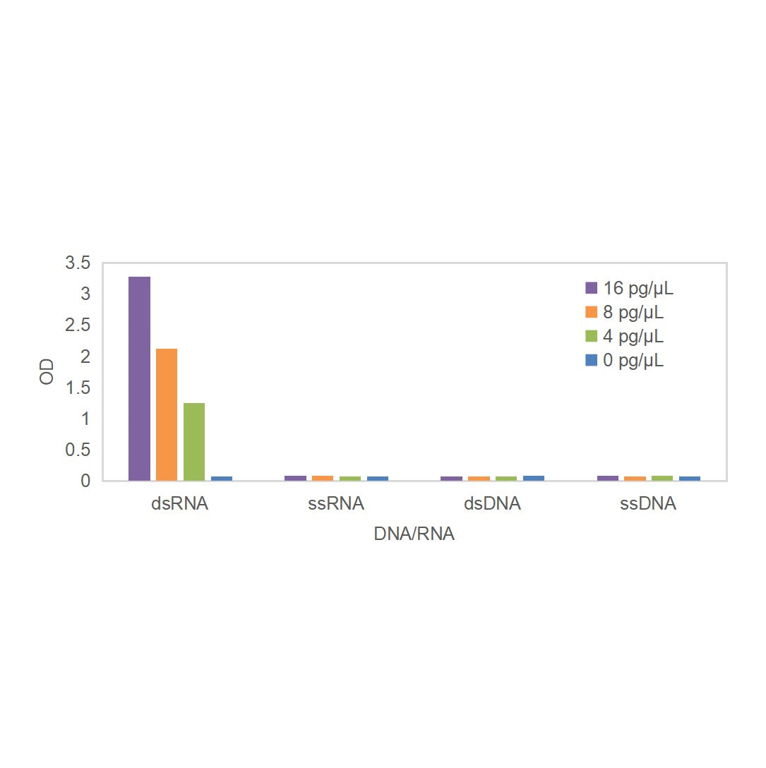 Double-stranded RNA (dsRNA) ELISA kit _36717ES