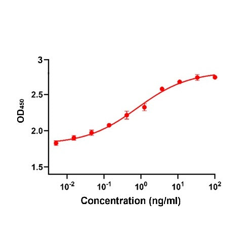 FGF umano ricombinante Basic/FGF2/BFGF, proteina GMP