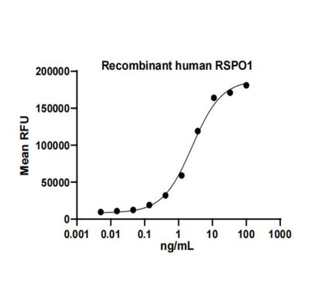 Rekombinant humant RSPO1 -protein _ 92278ES