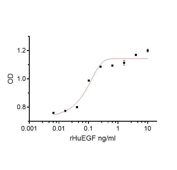 Mänskligt EGF -protein _ 92708ES