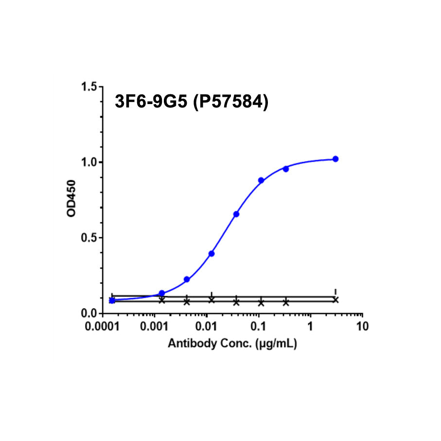 Rekombinant Human A2AR Protein-VLP _ 95033ES