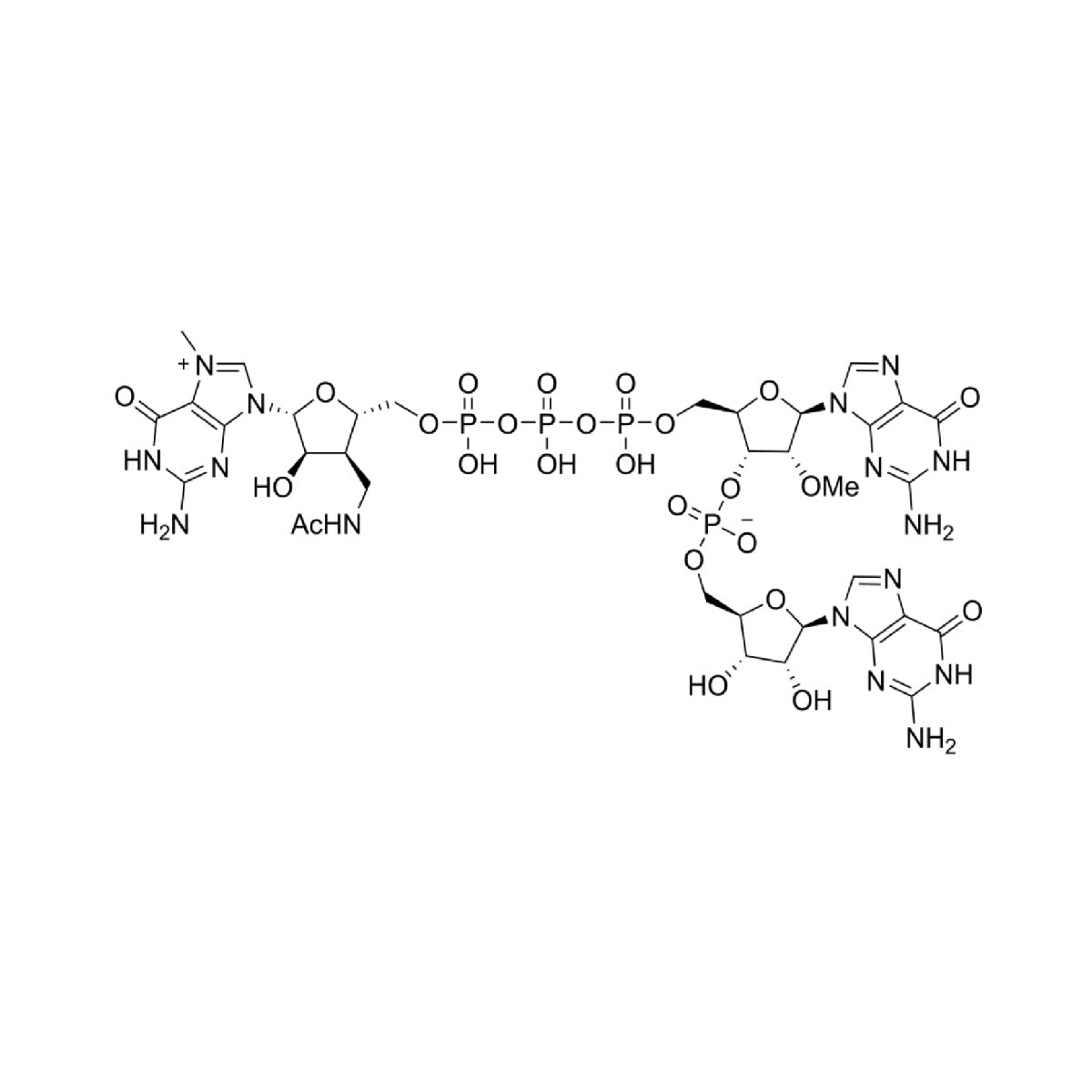 LZCAP GG (3'ACM), (50 mm) _ 10686ES