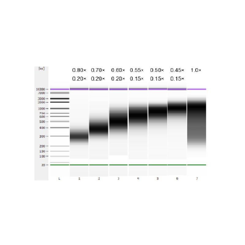 HIEFF NGS ™ UCF.ME DNA Selection perler (lavt DNA) _ 17266ES