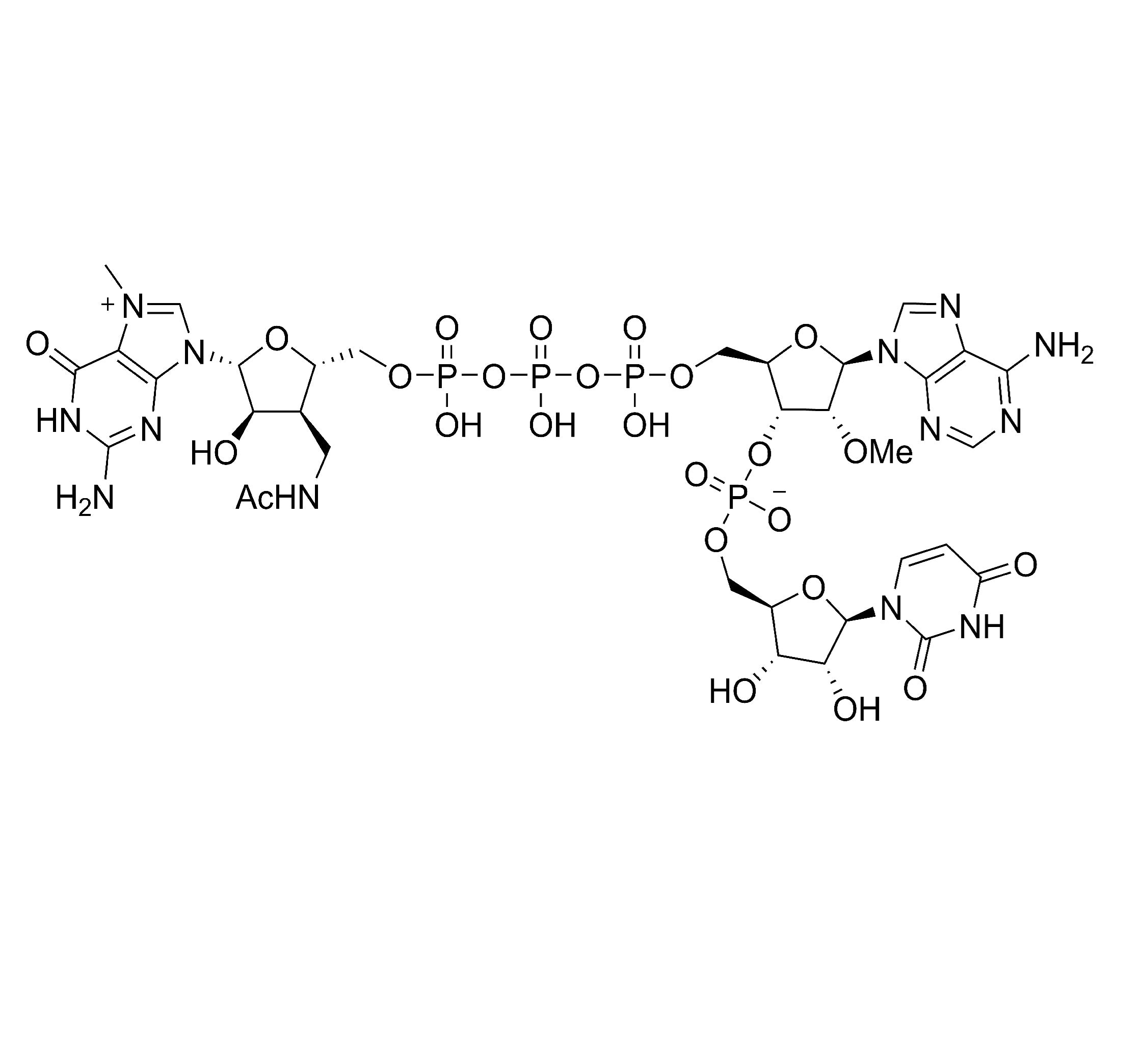 LZCap AU (3'Acm), High Affinity (100mM) _ 10685ES