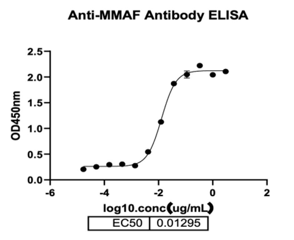 MAB mouse anti-MMAF _ 31904ES