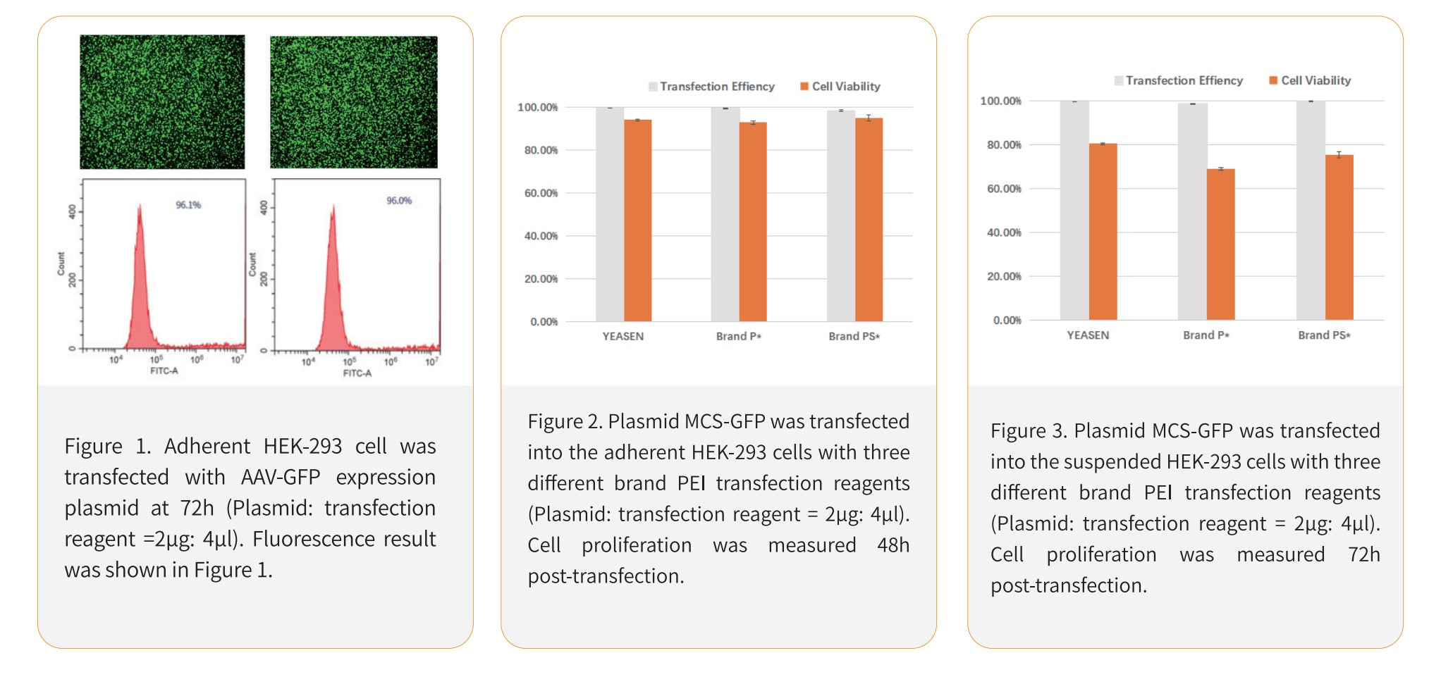 Hieff Trans™ PEI Transfection Reagent -40820ES