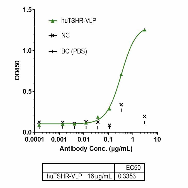 Proteina tshr umana ricombinante-VLP _ 950es