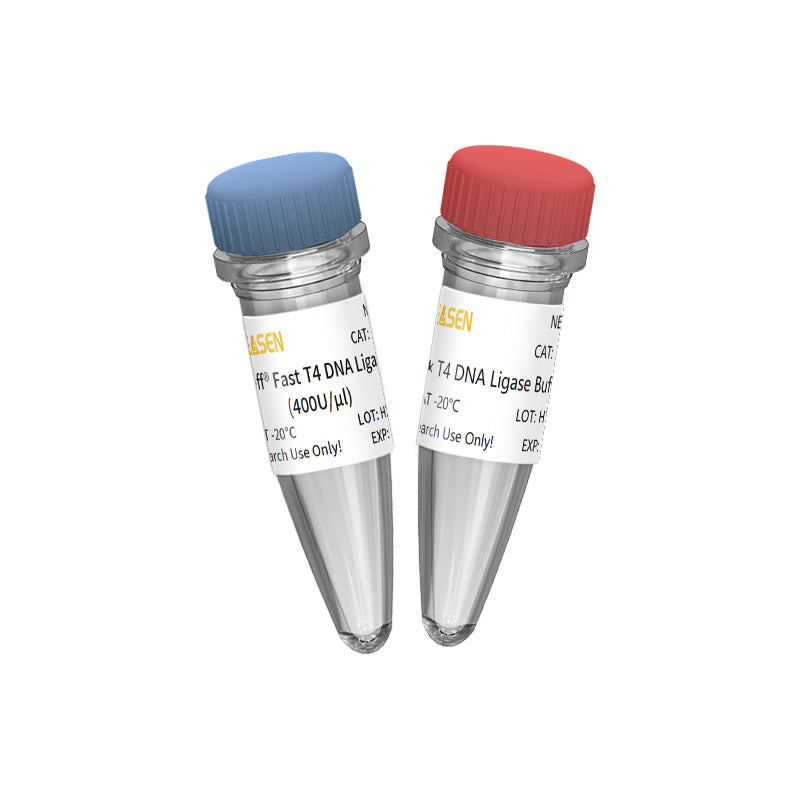 Fast T4 DNA ligase (400 U/μL) -10299ES