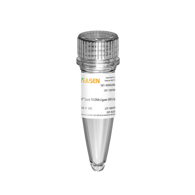 Hurtig T4 DNA -ligase (400 U/μl) -10301ES