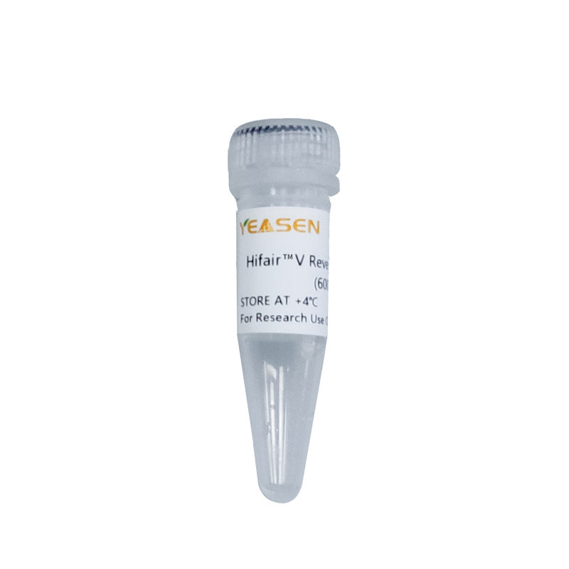 HiFair ™ v Reverse Transkriptase (600U/μl, Glycerol -Free) -11301es