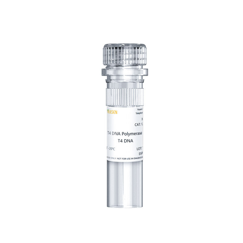 T4 DNA polimerasi (5 U/μl) _ 12901ES