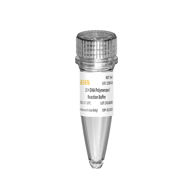 DNA -polymeras I (10 U/μL) _ 12903ES