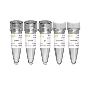 Hieff NGS ™ Dual stregkode Fast -tempo DNA Cyclization Kit til MGI -13340ES