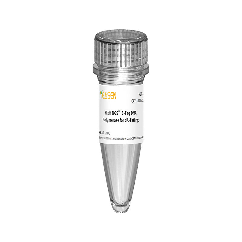 Hieff ngs ™ s-taq DNA-polymeras (1U/ul) för da-tailing _ 13486es