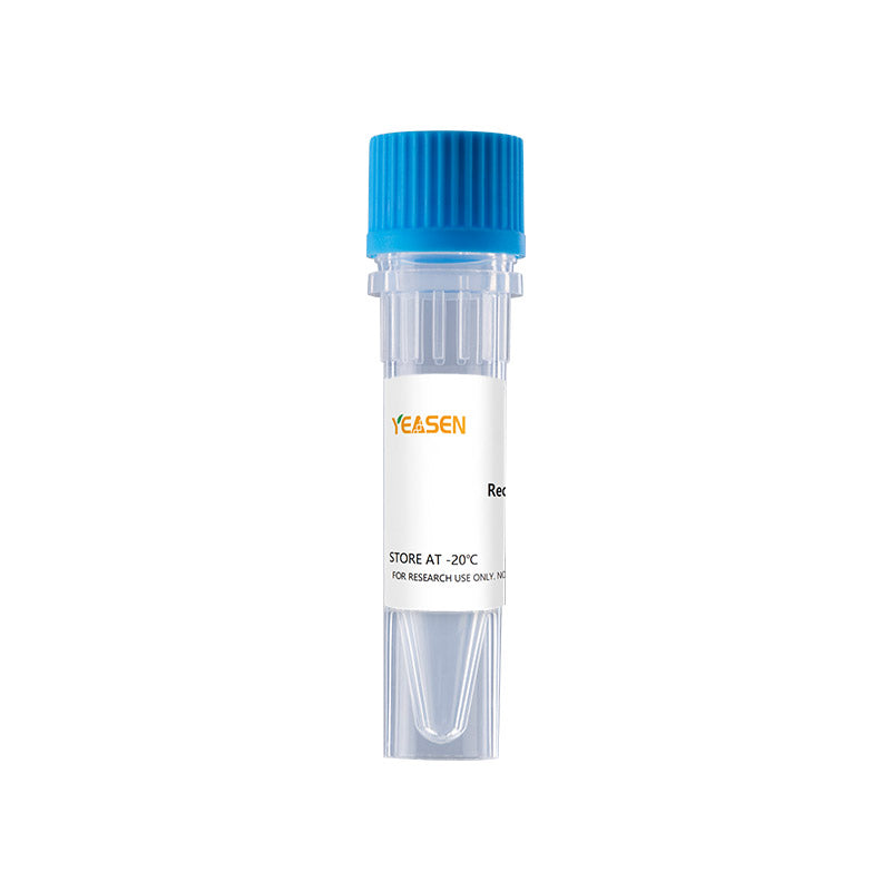 Recombinant Human IL-1 alpha Protein - 90100ES