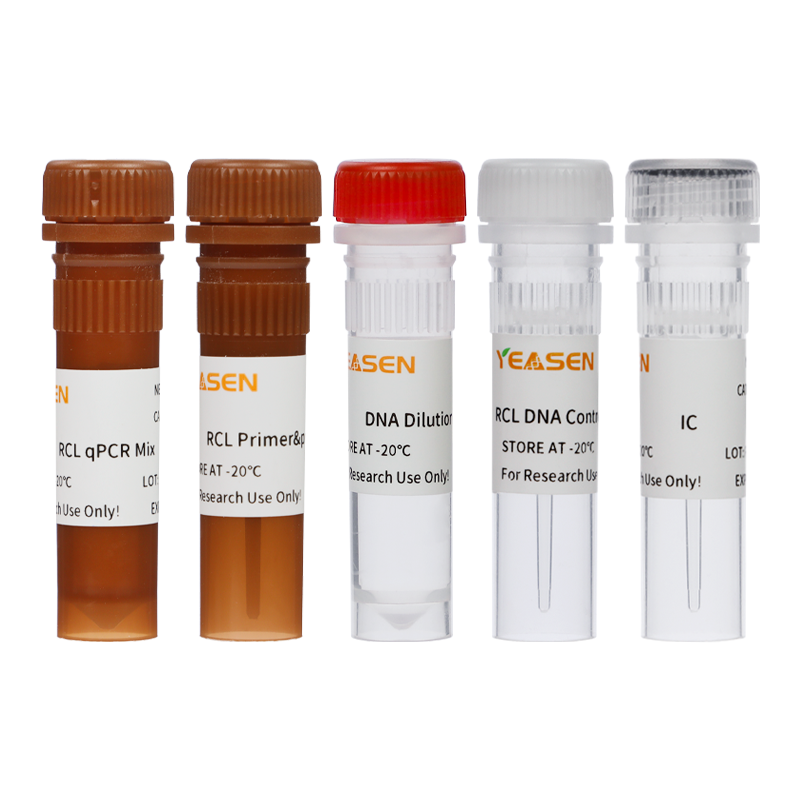 Replikeringskompetent lentivirus (RCL) detekteringssats _41311es